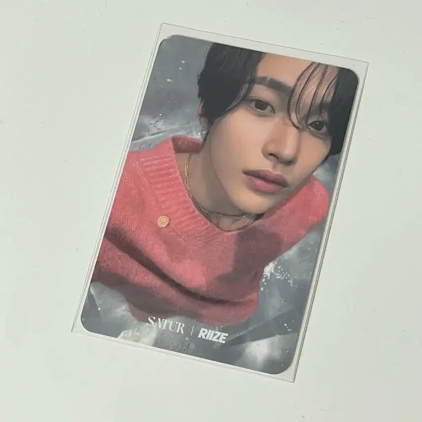 라이즈 원빈 세터 포카