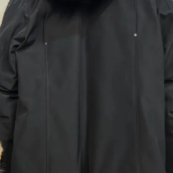 [BUNJANG] Moose Knuckles Black Padded Jacket / 무스너클 블랙 95 (백화점)