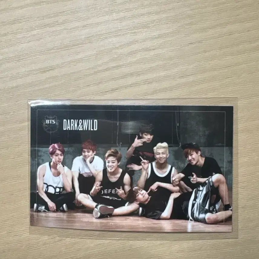 방탄소년단 Dark&Wild 단체 포토카드