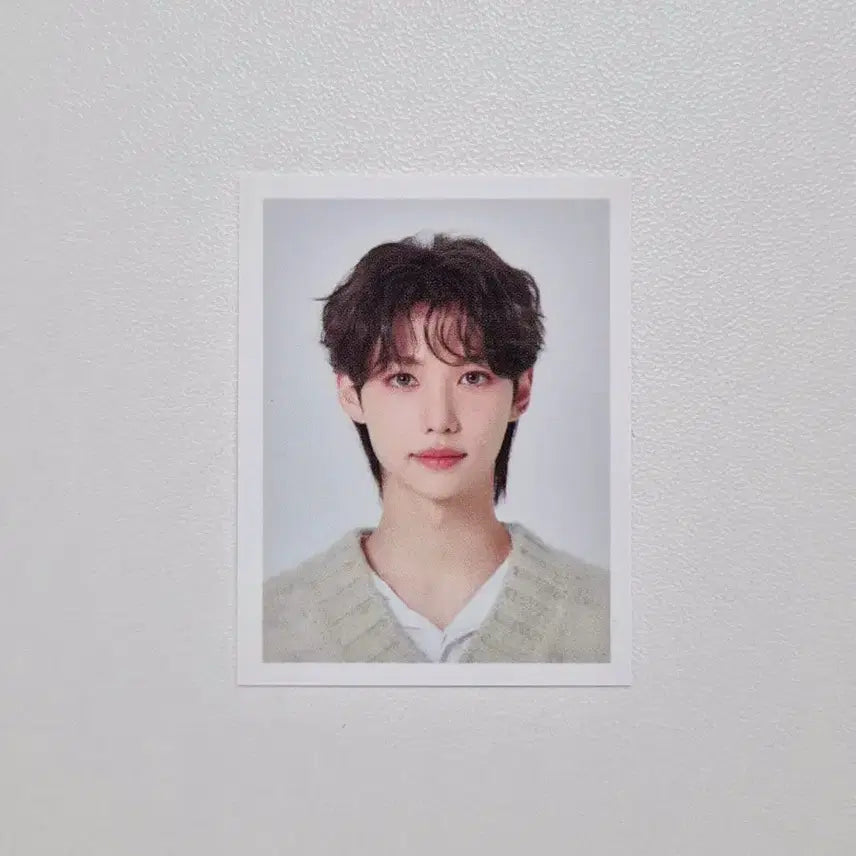 스트레이키즈 필릭스 네시픽 증명사진