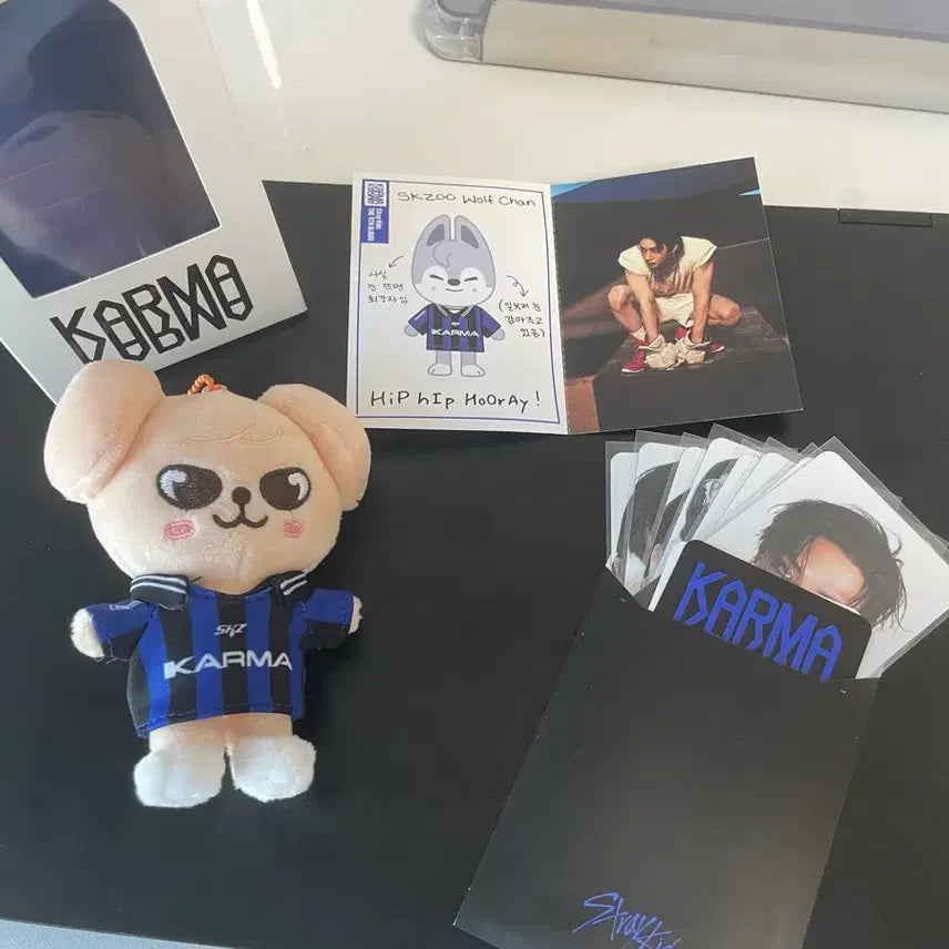 스크레이키즈 스키즈 카르마 스키주 양도