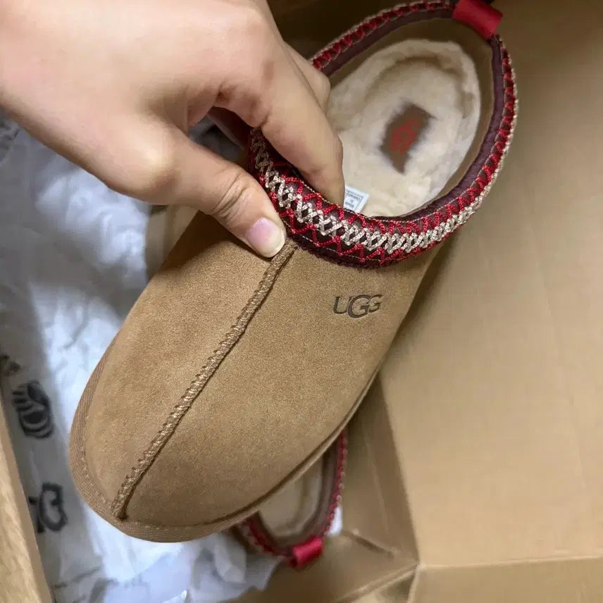 [BUNJANG] UGG Tazz Slipper Chestnut Women's / 백화점아울렛정품)) UGG 타즈 슬리퍼 1122553 체스트넛 /여성화
