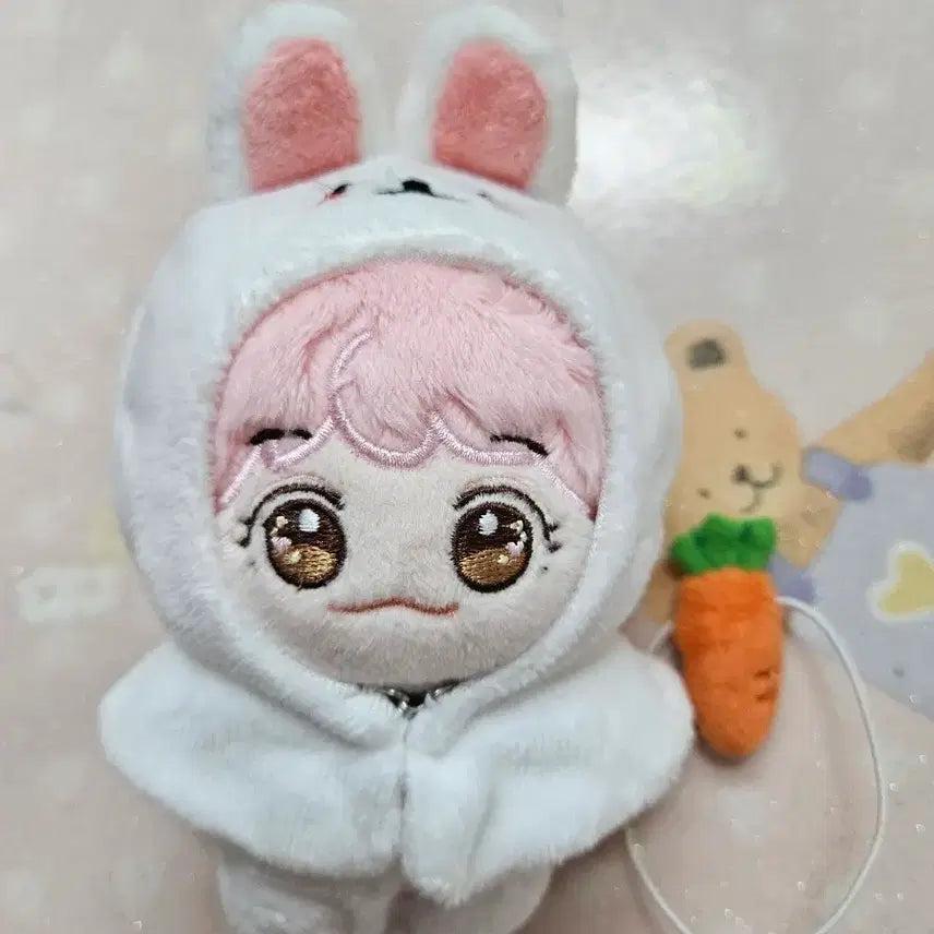 [BUNJANG] NCT Jaemin Doll / 엔시티재민 인형 양도