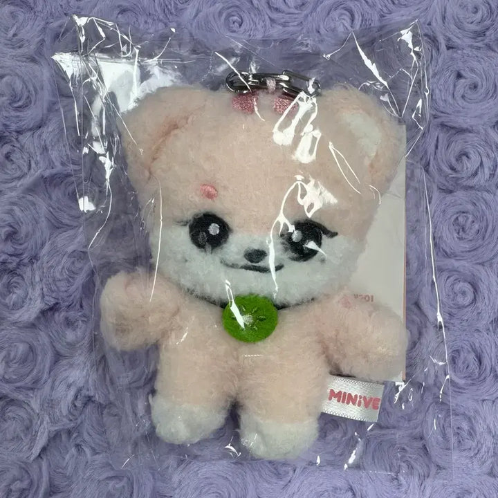 [BUNJANG] IVE Mini-B School 10cm Plush Keyring / (미개봉)아이브 미니브 스쿨 10cm 플러시 키링