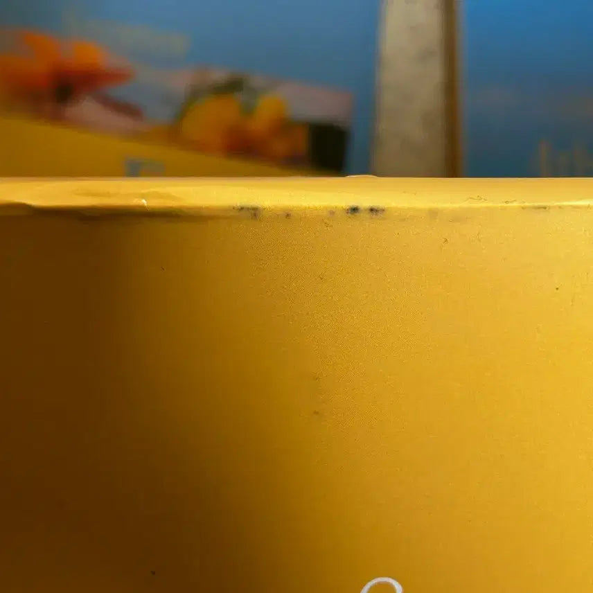 세븐틴 4집 리패키지 앨범 뉴비기닝