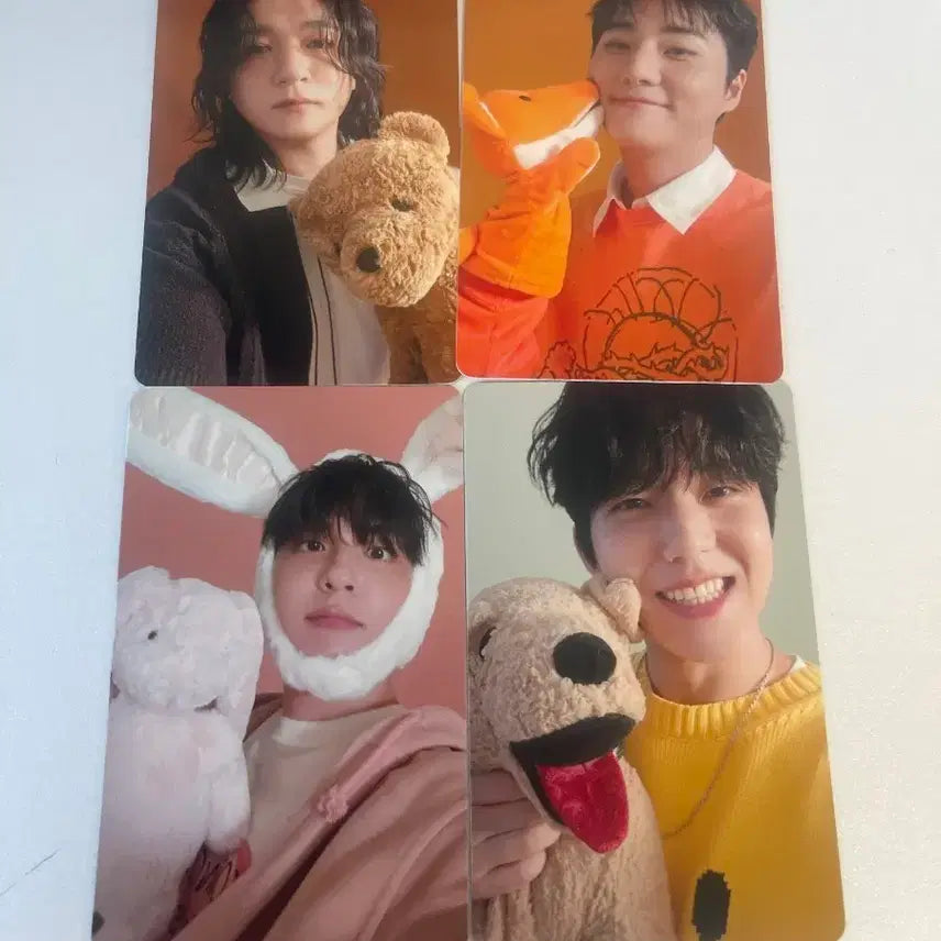 데이식스 시그 팬즈 특전 포카