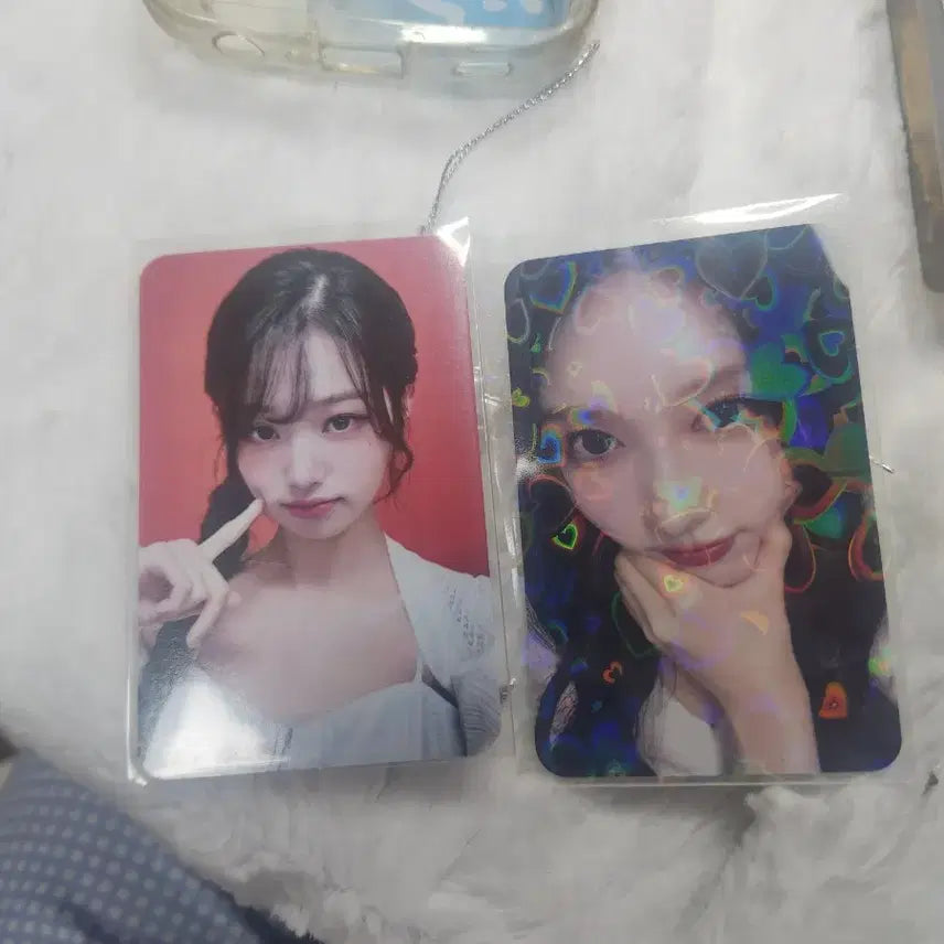 가을 얼빡 포카