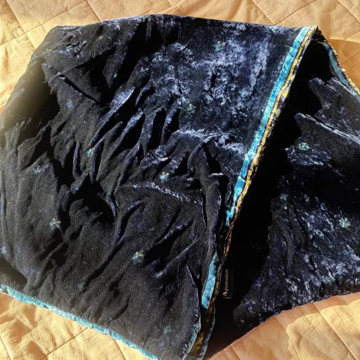 [BUNJANG] Velvet Reversible Scarf / 벨벳 페이즐 머플러/리버시블 양면 목도리 (컨디션 매우 좋음)