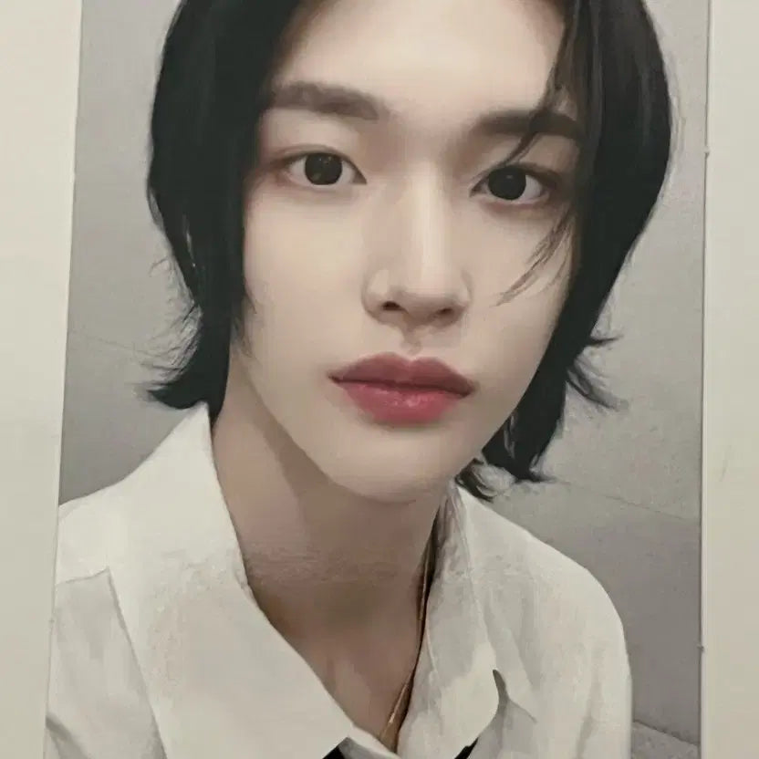 라이즈 원빈 포카