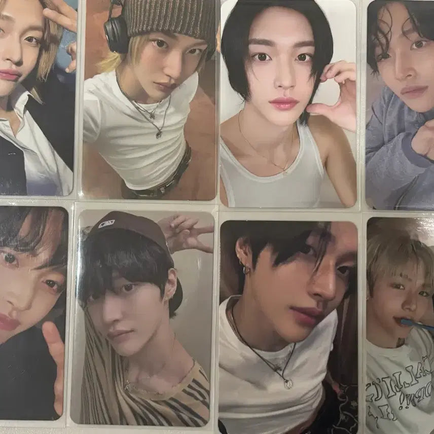 라이즈 원빈 포카 일괄 판매