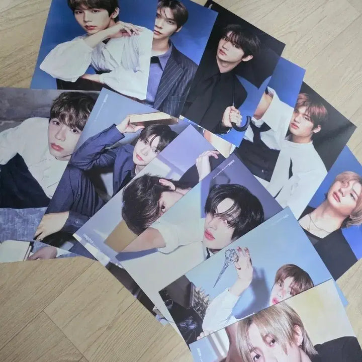 라이즈 2025 시그 개봉 앨범