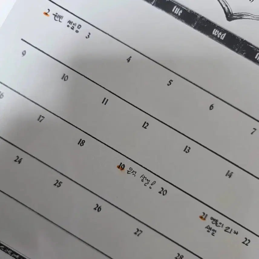 라이즈 2025 시그 개봉 앨범