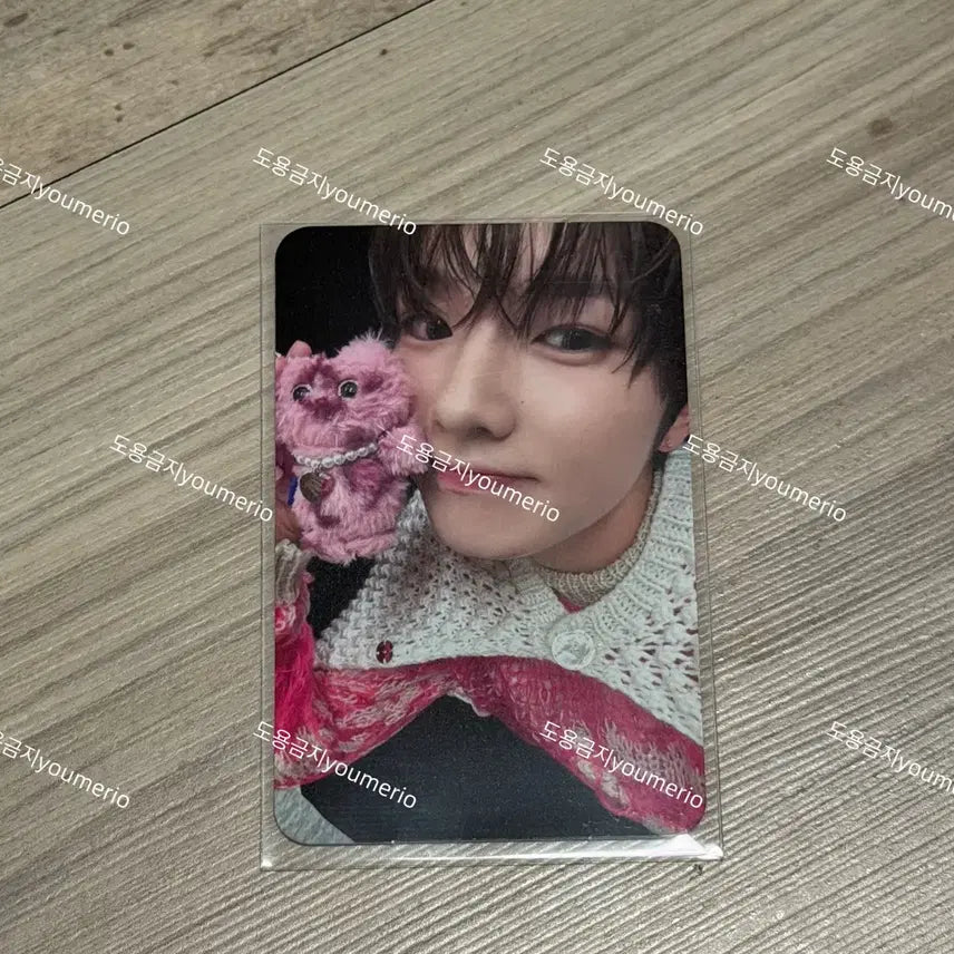 엔시티위시 사쿠야 위시풀윈터 포카 양도해용