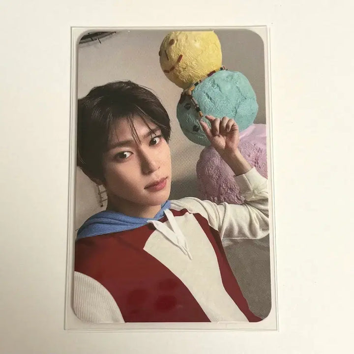 엔시티 위시 시온 포카(위시풀 윈터)_nct wish(sion)