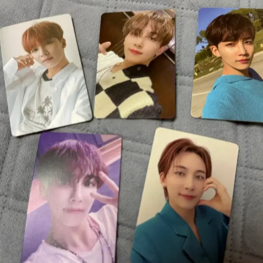 세븐틴 정한 포카 양도 처분