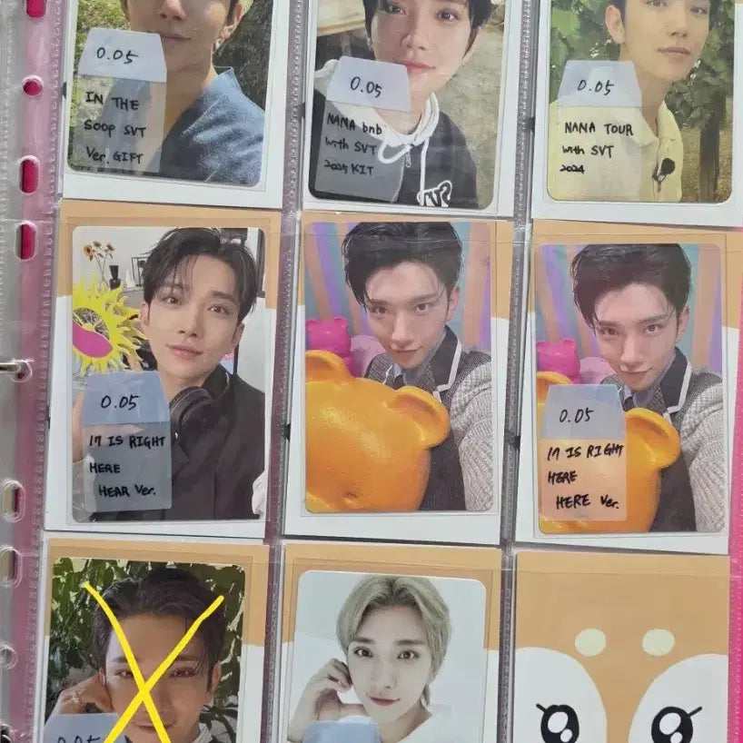 쿱스,정한,슈아포카