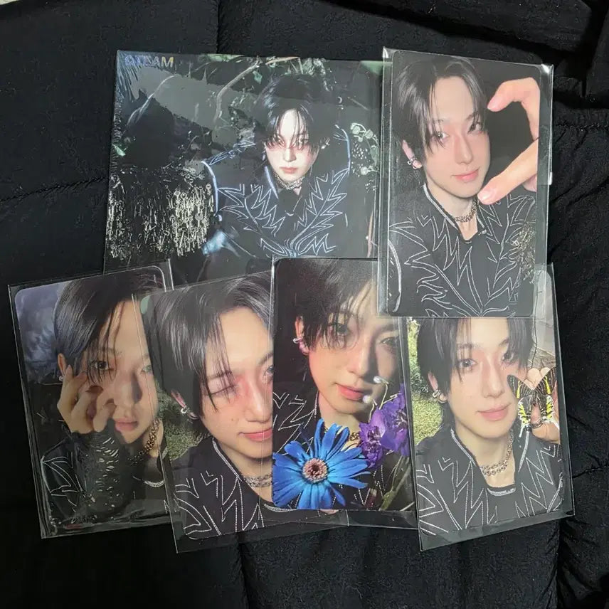 앤팀 Back to Life Roar 후마 미개봉 앨범 포카셋