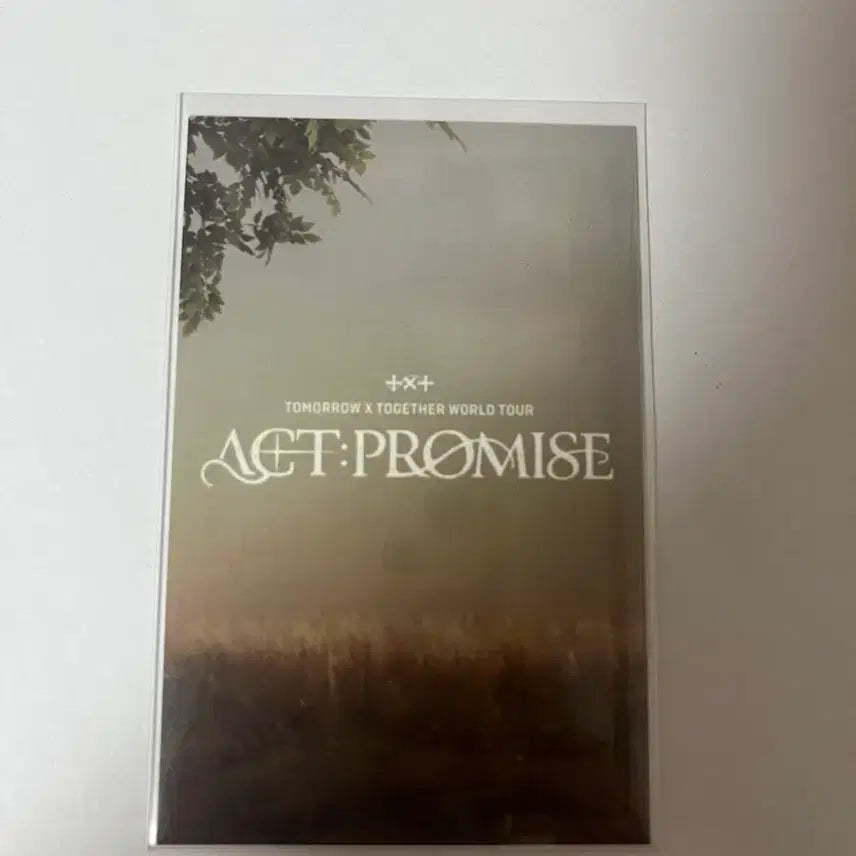 투바투 태현 프로미스 모아존 포카 양도