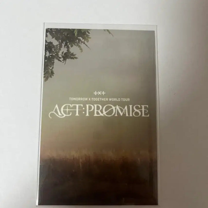 투바투 태현 프로미스 모아존 포카 양도