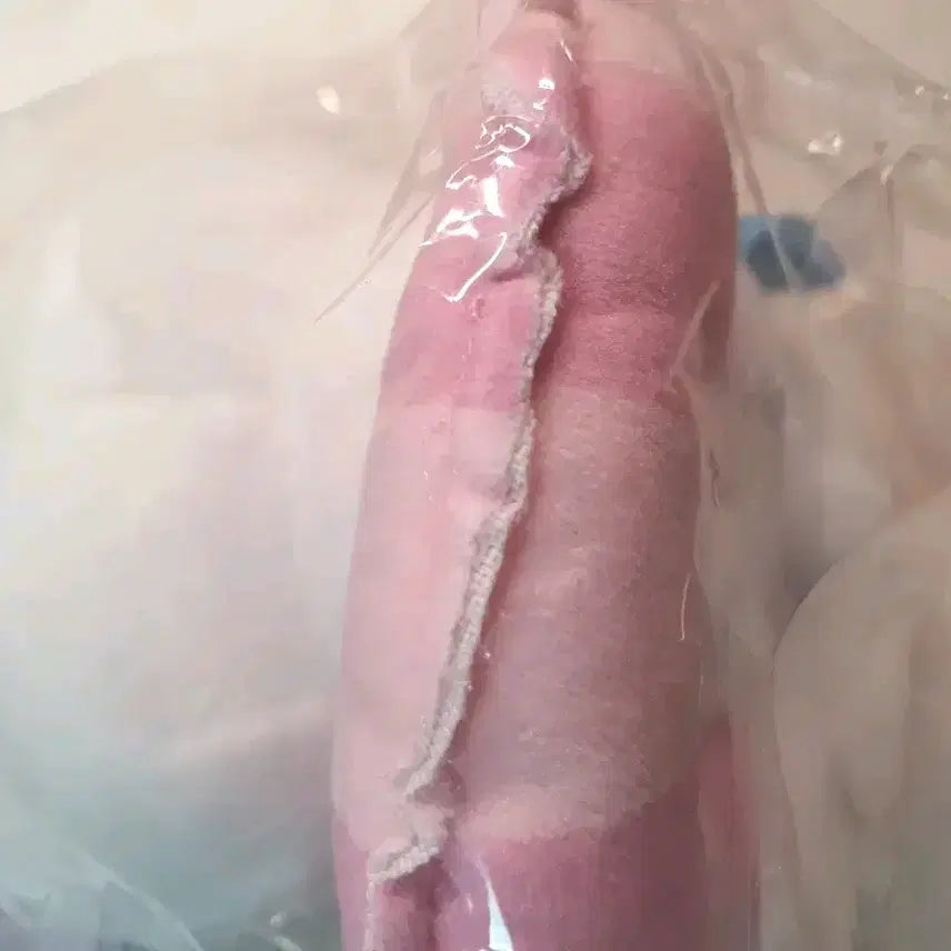 [BUNJANG] Miniso Chiikawa Tube Doll Keyring / 미니소 치이카와 튜브 인형 키링