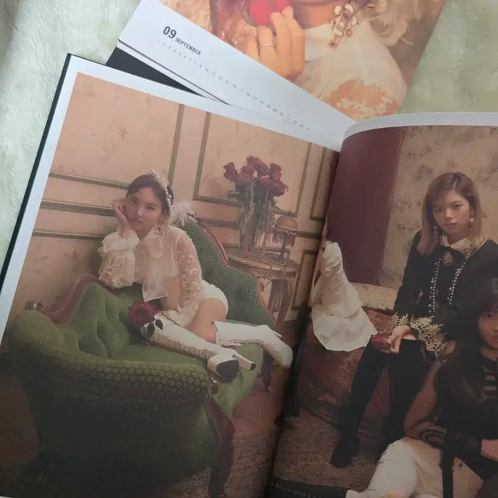 트와이스 더 로즈 2019 시즌그리팅 (twice 시그)