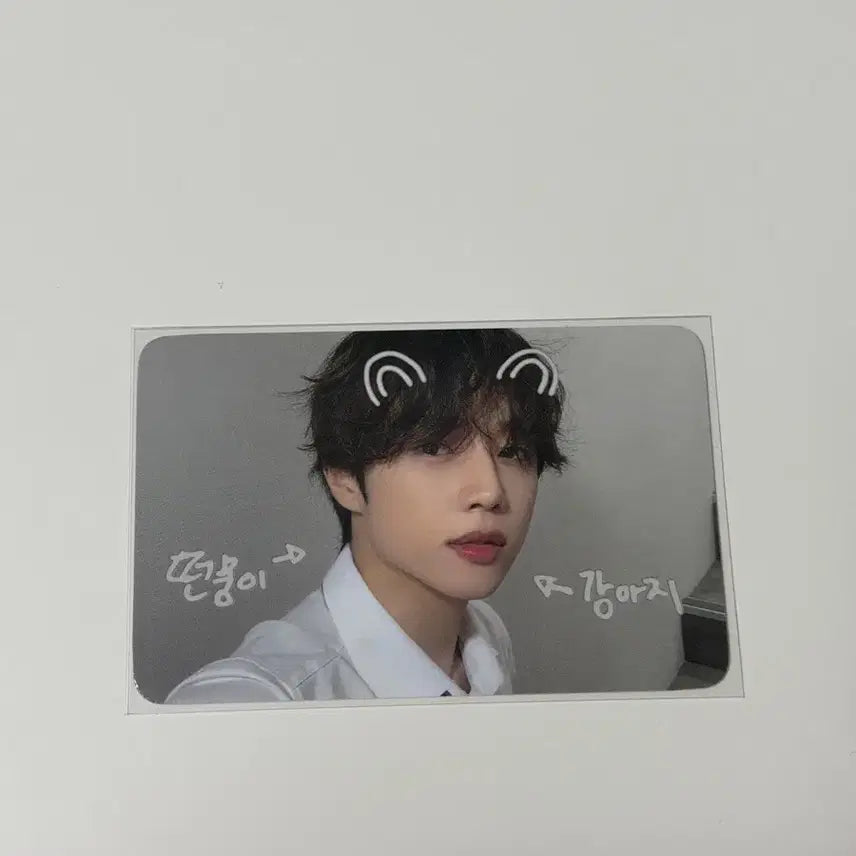 더보이즈 선우 펫캠 떤뭉이 포카 미공포