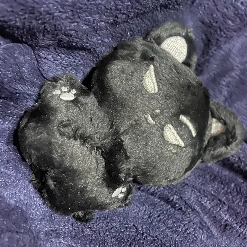 [BUNJANG] ENHYPEN Jay Doll / 엔하이픈 제이 인형 양도