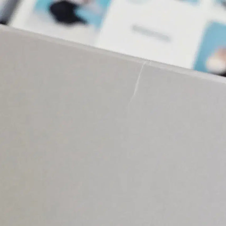 세븐틴 정한 아이노치카라 개봉앨범