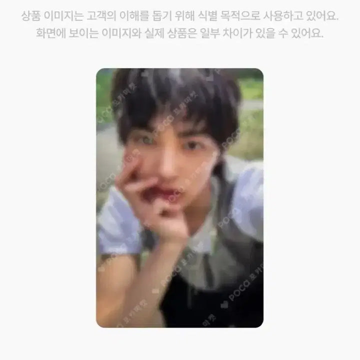 코르티스 앨범 (포카 안건호)