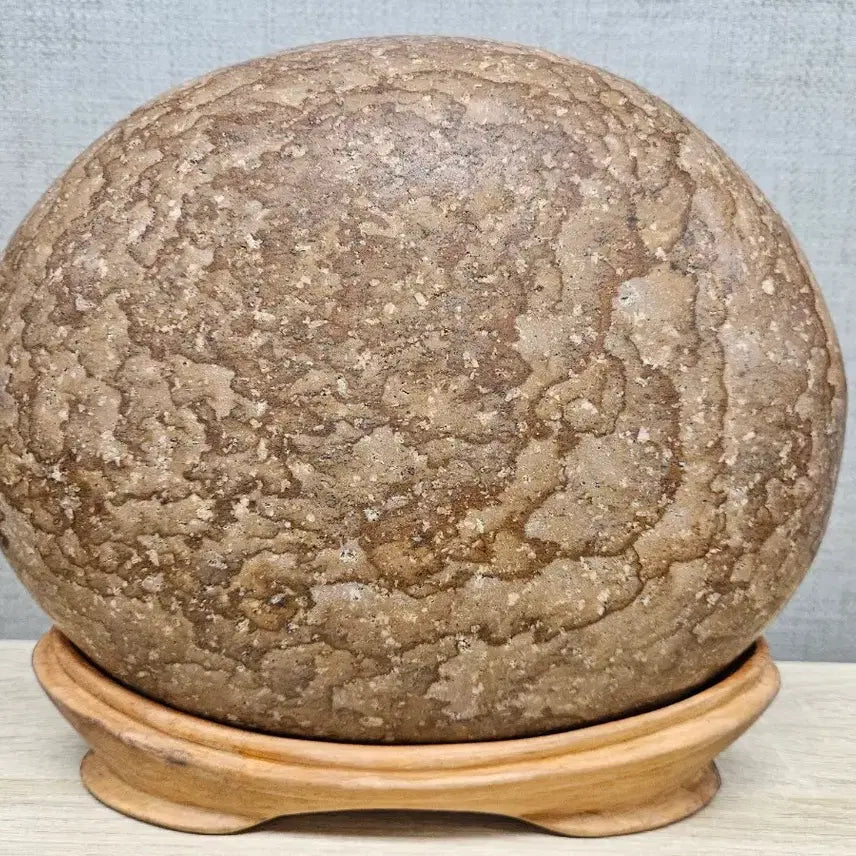 [BUNJANG] Stone Art Winter Camellia Pattern Stone / 수석 돌 목문석 꽃돌 겨울 동백꽃 문양석 무늬석 수집