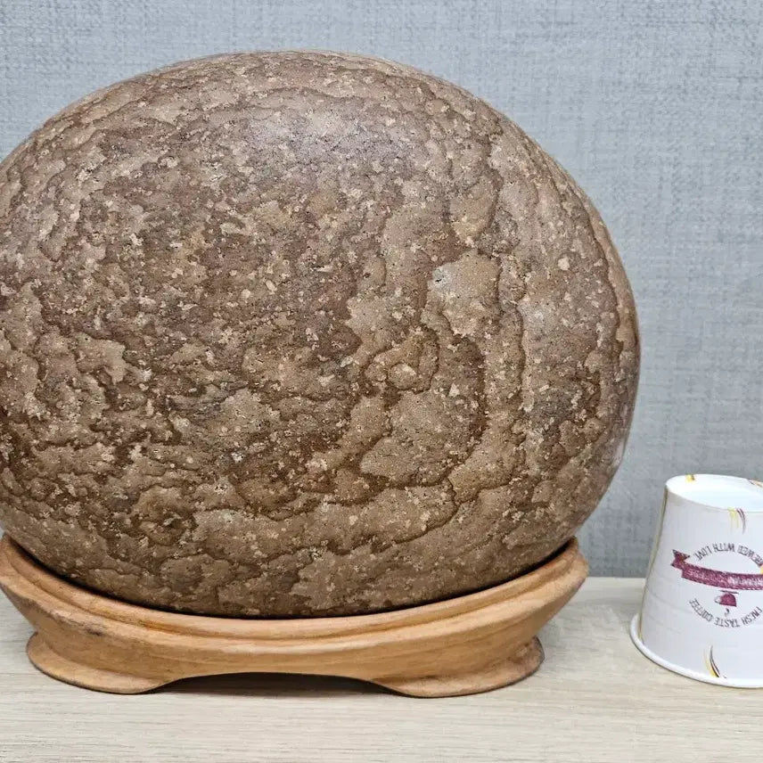 [BUNJANG] Stone Art Winter Camellia Pattern Stone / 수석 돌 목문석 꽃돌 겨울 동백꽃 문양석 무늬석 수집