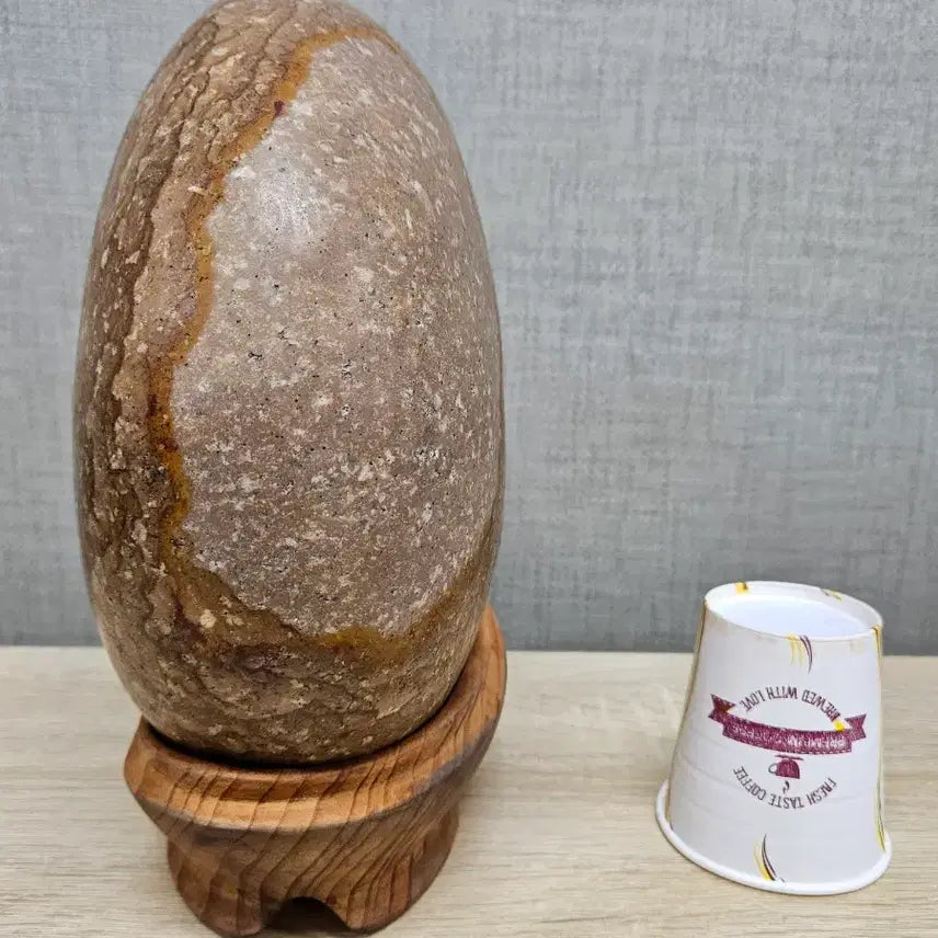 [BUNJANG] Stone Art Winter Camellia Pattern Stone / 수석 돌 목문석 꽃돌 겨울 동백꽃 문양석 무늬석 수집