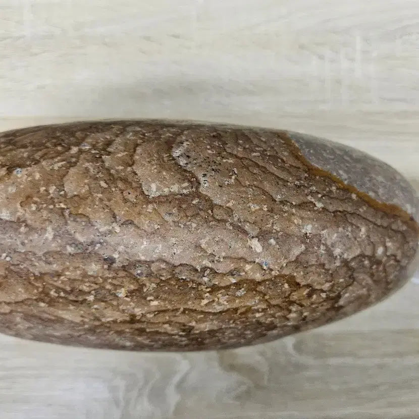 [BUNJANG] Stone Art Winter Camellia Pattern Stone / 수석 돌 목문석 꽃돌 겨울 동백꽃 문양석 무늬석 수집