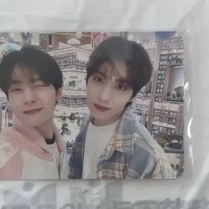[BUNJANG] ONEUS Sion Suwon Photocard / 원어스 수원수원 포토카트