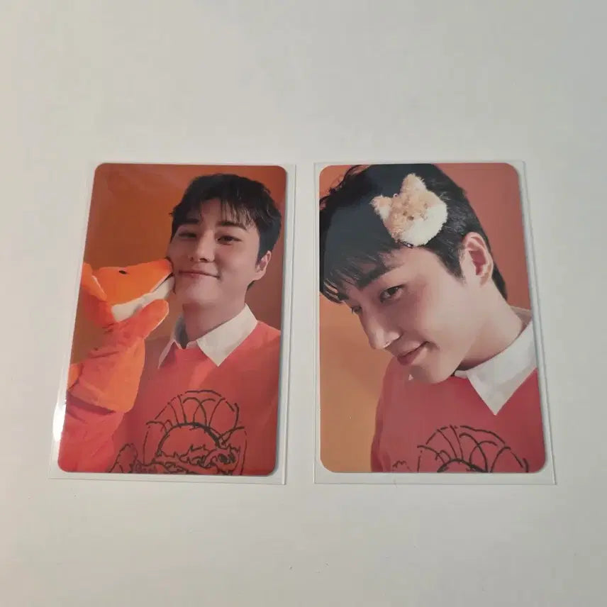 데이식스 영케이 시그 포카 일괄