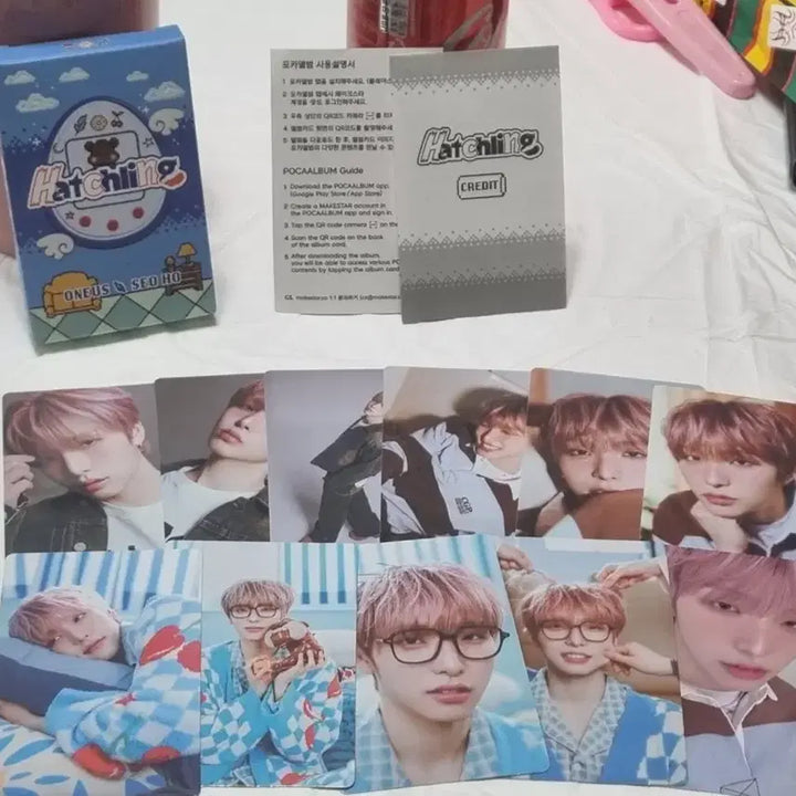 원어스 서호 Hatchling 포카 앨범 포토카드