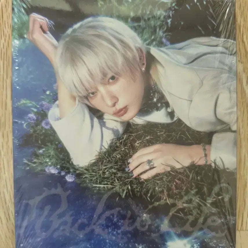 앤팀 미개봉 앨범 백투라이프 roar 버전 하루아