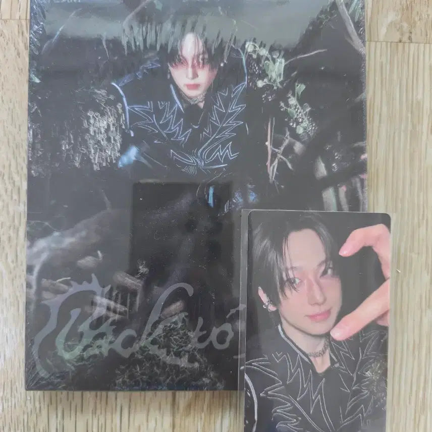 앤팀 미개봉 앨범 백투라이프 roar 버전 케이