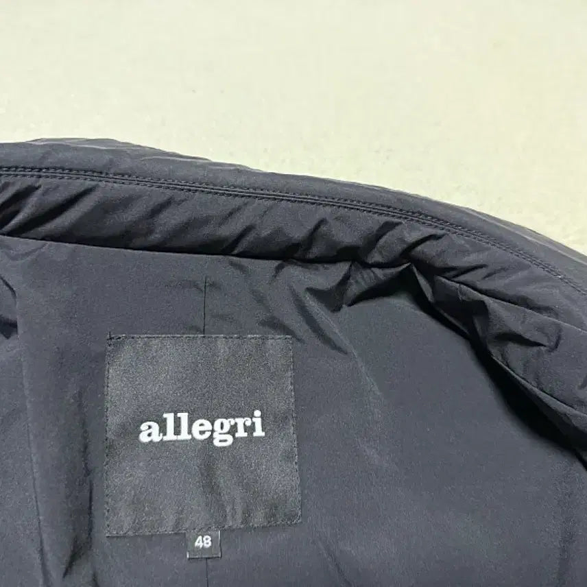[BUNJANG] Allegri Goose Down Padded Jacket (Men's) / 알레그리 구스다운 패딩 자켓 남성용 95사이즈