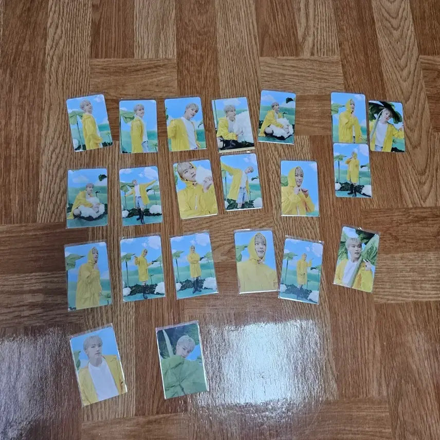 세븐틴 디노 포토카드 일괄