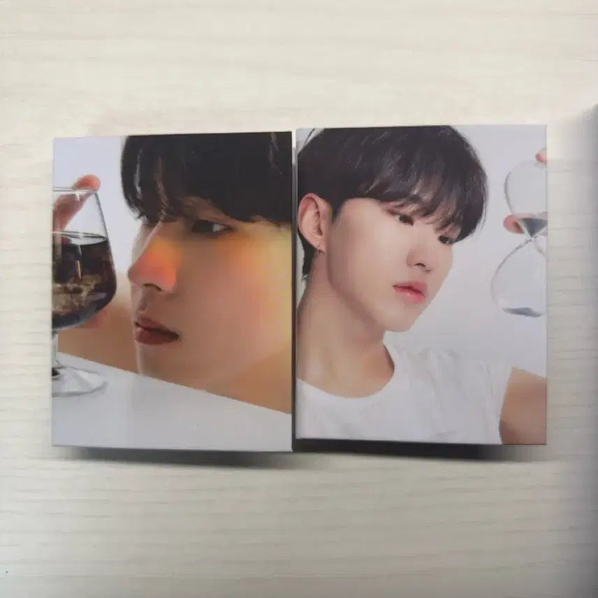 세븐틴 호시 원우 캐럿반