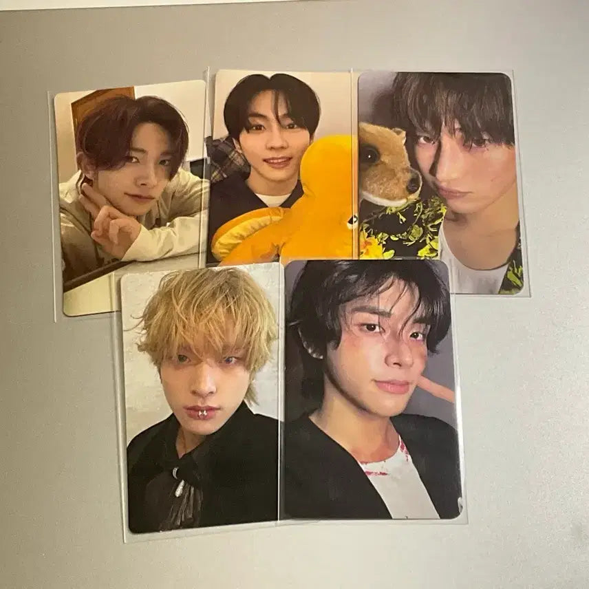 [BUNJANG] ENHYPEN Bundle Set Photocard / (마지막할인)엔하이픈 포카 일괄 판매 희승 제이크 선우 정원