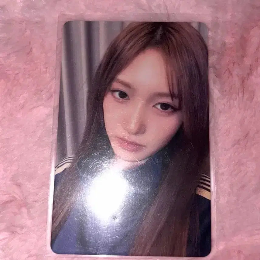 번장매물없음) 아이브 일본 씨디 팬콘서트 예약구매 이서 양도 특전 포카