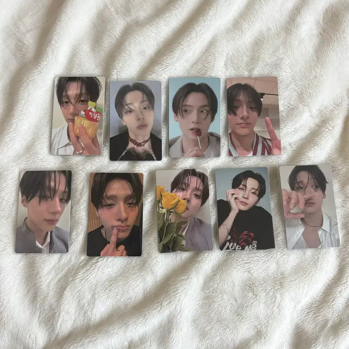 [BUNJANG] BOYS PLANET BO2 전시회 Lee Sang-won Photocard Bundle Set / 보이즈2플래닛 보플2 전시회 2주차 알디원 이상원 포카 일괄 양도해요!