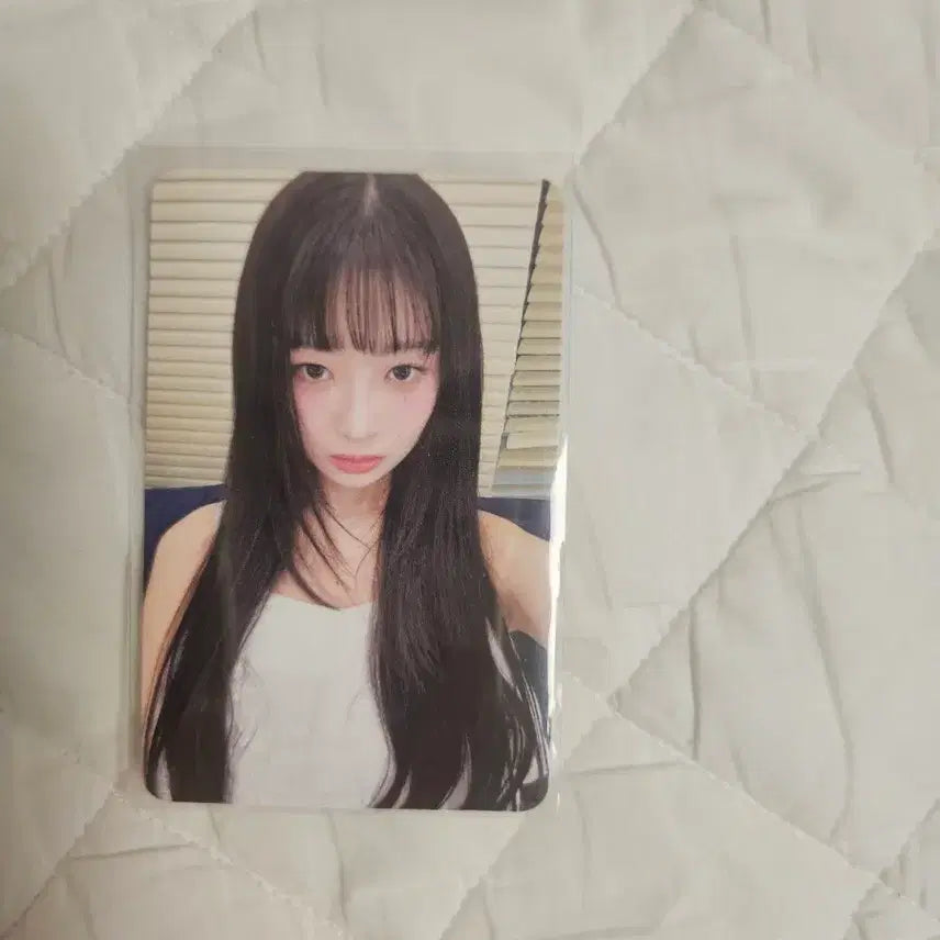 show what I am 다이브존 포카