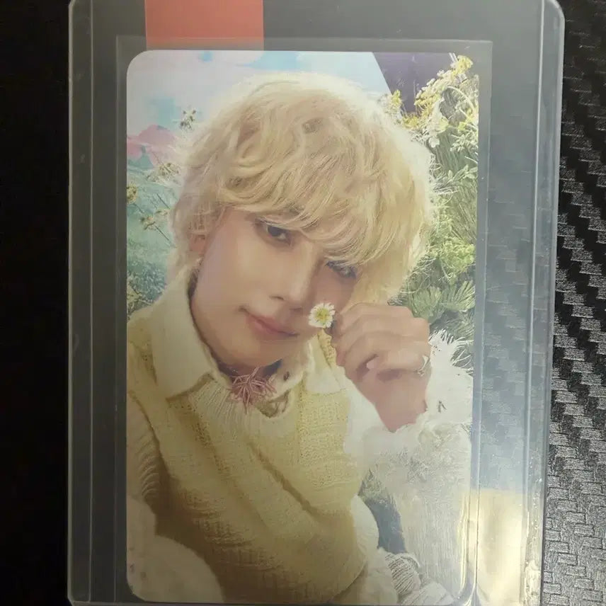 세븐틴 정한 포토카드