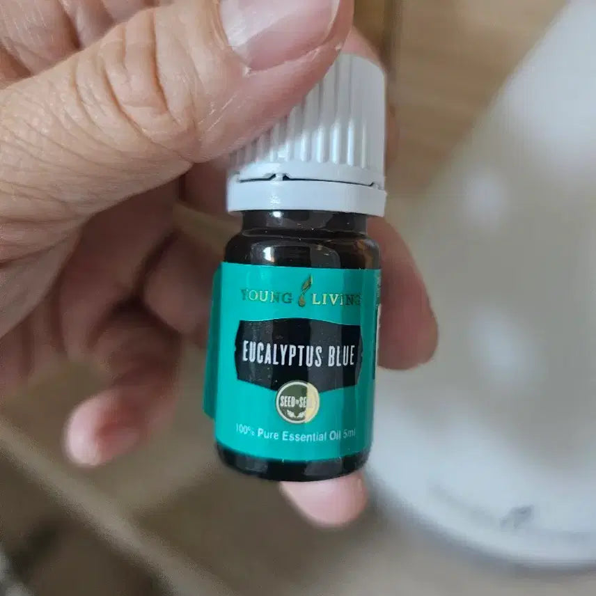 [BUNJANG] Young Living Eucalyptus Blue Essential Oil 5ml / 영리빙 유칼립투스블루 5ml 에센셜오일