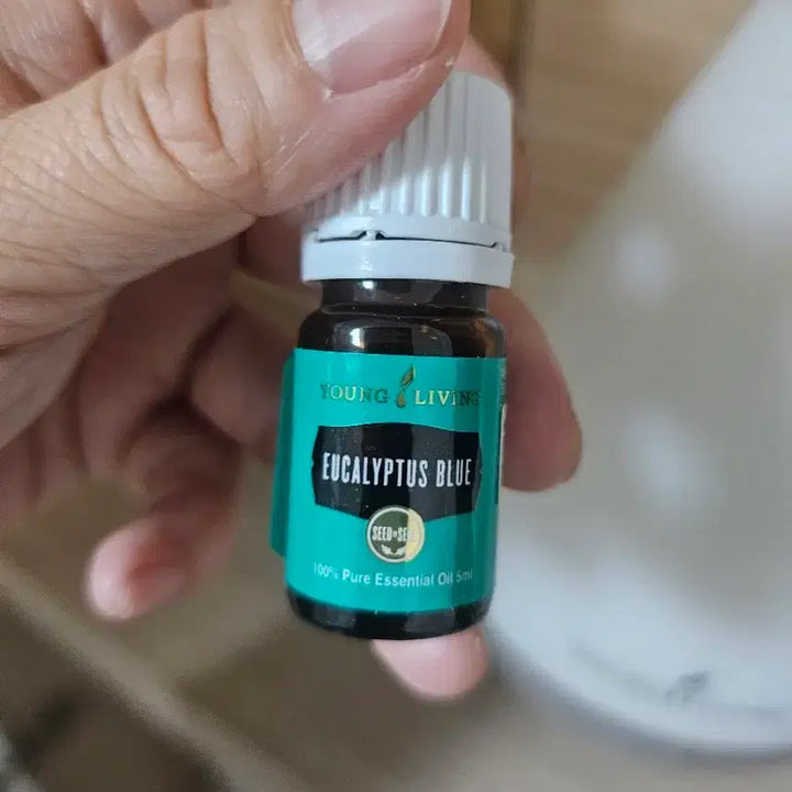 [BUNJANG] Young Living Eucalyptus Blue Essential Oil 5ml / 영리빙 유칼립투스블루 5ml 에센셜오일