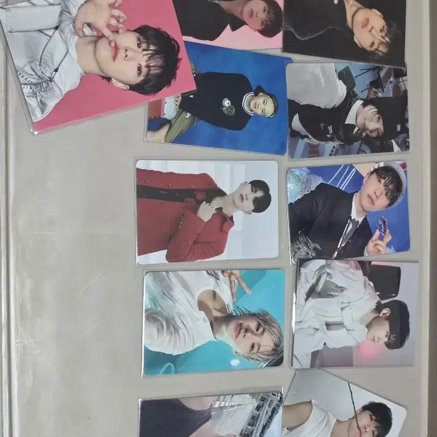 세븐틴 호시 마에스트로(라잇히어) 공방포카 포함 일괄