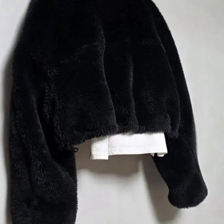 [BUNJANG] F Double-Sided Crop Fur Jacket / [F]퍼 크롭 자켓/양면